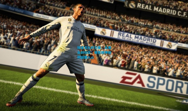 球迷文化的力量，从看台到社区，体育精神如何凝聚人心