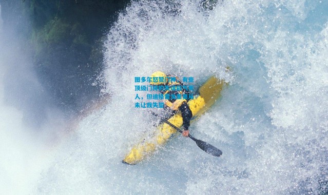 图多尔怒赞门神，有些顶级门将的失误能气死人，但迪格雷戈里奥从未让我失望