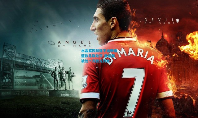 水晶宫因球迷不当横幅遭欧足联处罚 俱乐部被处一万欧元罚款