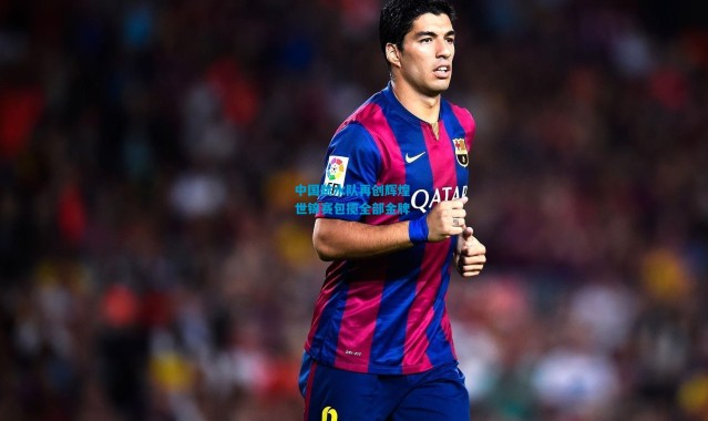 中国跳水队再创辉煌 世锦赛包揽全部金牌