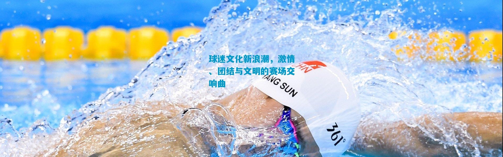 球迷文化新浪潮，激情、团结与文明的赛场交响曲