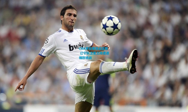 CBA季后赛激战正酣 辽宁队卫冕之路遭遇强敌挑战