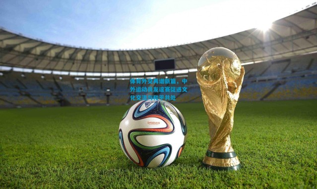 体育外交再谱新篇，中外运动员友谊赛促进文化交流与和平共处